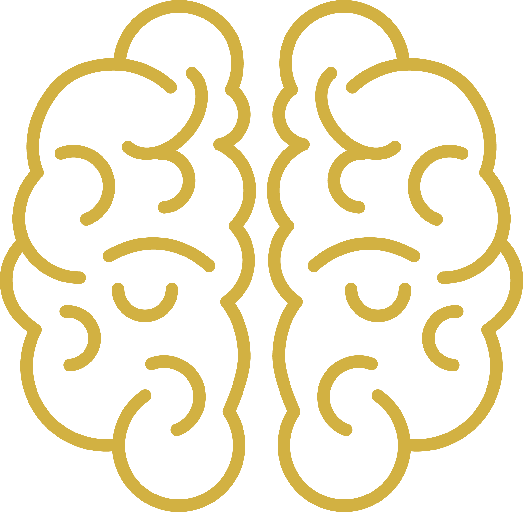 Neocortex Panama